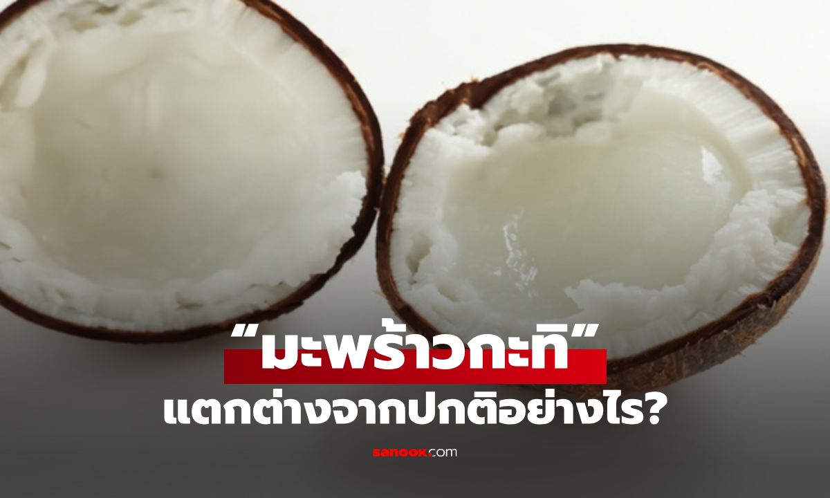 รู้จัก “มะพร้าวกะทิ” แตกต่างจากปกติอย่างไร พร้อมประโยชน์ดี ๆ ต่อสุขภาพ