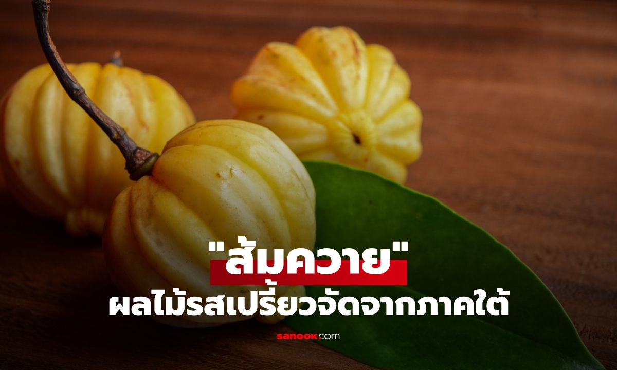"ส้มควาย" ผลไม้รสเปรี้ยวจัดจากภาคใต้ ที่อุดมด้วยประโยชน์เกินตัว