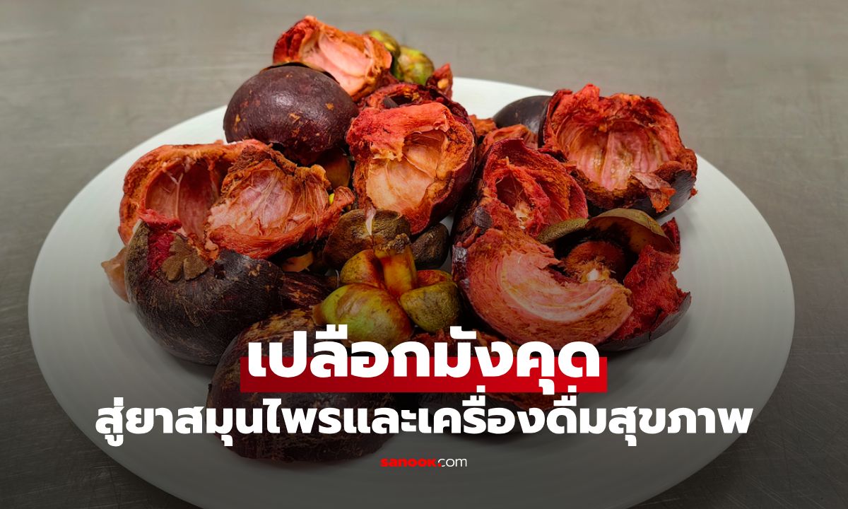 “เปลือกมังคุด” สู่ยาสมุนไพรและเครื่องดื่มต้านอนุมูลอิสระ