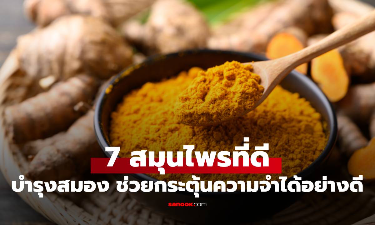 7 สมุนไพรบำรุงสมอง ช่วยกระตุ้นความจำได้อย่างดี ลดความเสื่อมตามวัย