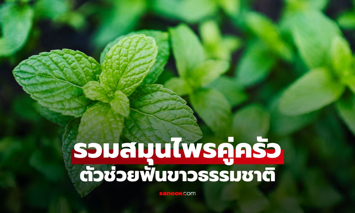 รวมสมุนไพรคู่ครัว ตัวช่วยฟันขาวธรรมชาติที่หลายคนมองข้าม