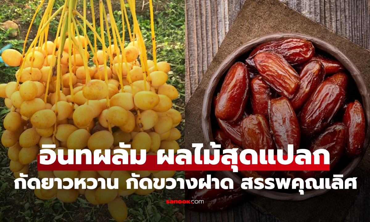 ผลไม้สุดแปลก...กัดแนวยาวหวาน กัดแนวขวางฝาด สรรพคุณวิเศษมะเร็งกลัว-เบาหวานเกรง