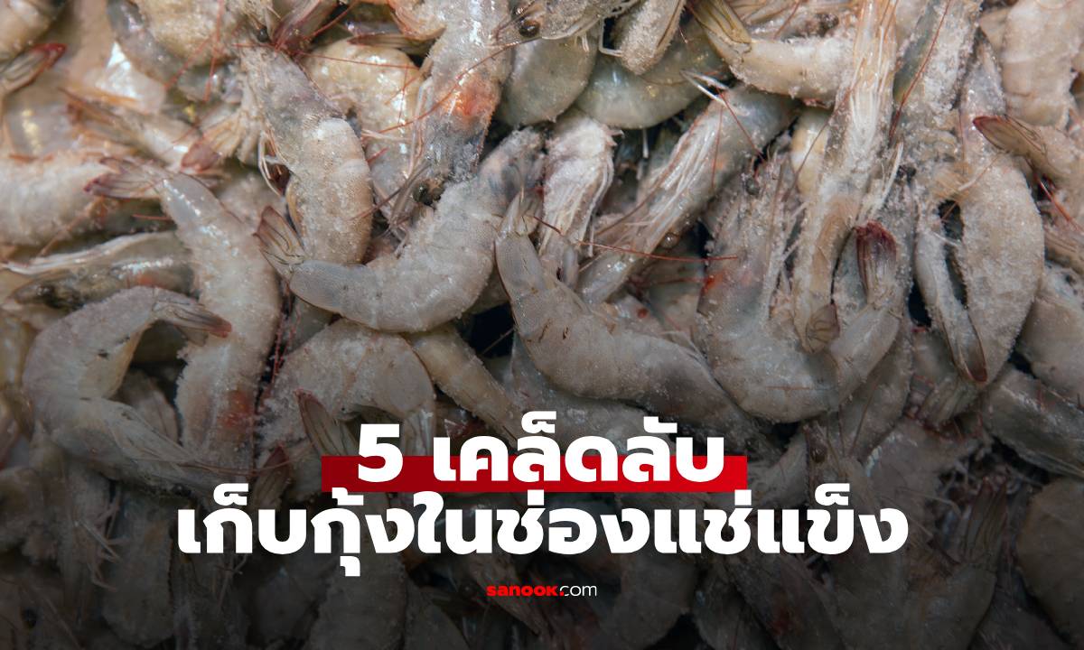 5 เคล็ดลับเก็บกุ้งในช่องแช่แข็ง แกะง่าย ตัวไม่ติดกัน