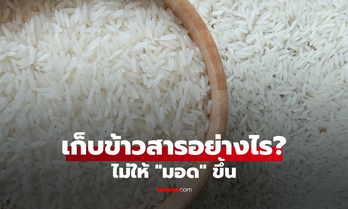 เก็บข้าวสารอย่างไรไม่ให้มอดขึ้น? เคล็ดลับแบบดั้งเดิมและสมัยใหม่