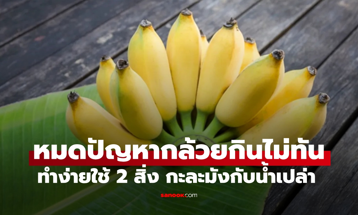 วิธีเก็บรักษากล้วยน้ำว้า หมดปัญหาสุกกินไม่ทัน ทำง่ายใช้แค่ 2 สิ่ง กะละมังกับน้ำเปล่า