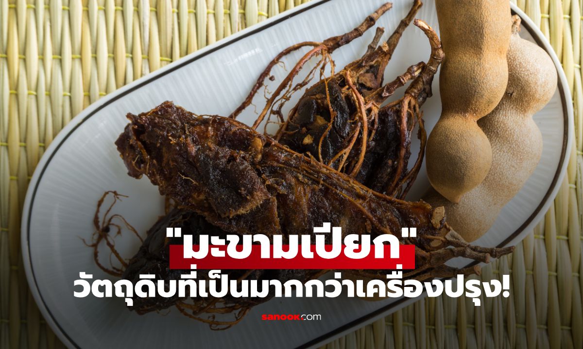 “มะขามเปียก” วัตถุดิบคู่ครัวไทยกับสรรพคุณสุดว้าว ที่เป็นมากกว่าแค่เครื่องปรุง!