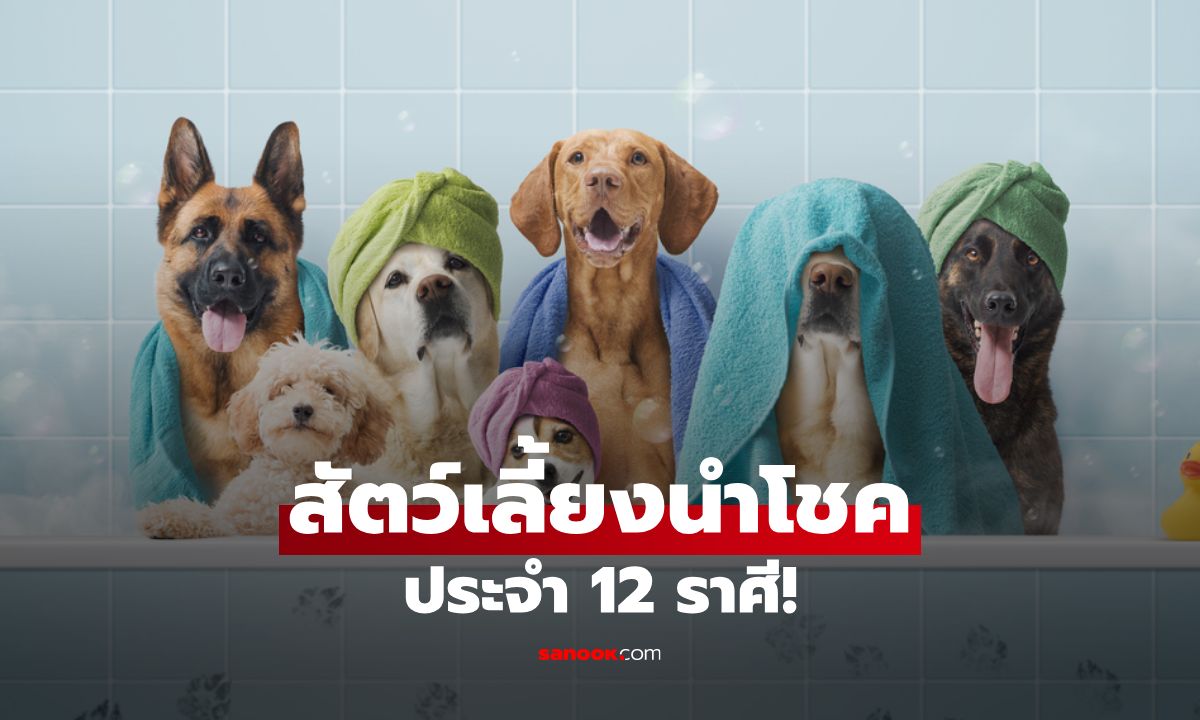 สัตว์เลี้ยงเสริมดวง คู่หูนำโชคประจำ 12 ราศี เลือกให้ถูกชีวิตปัง!