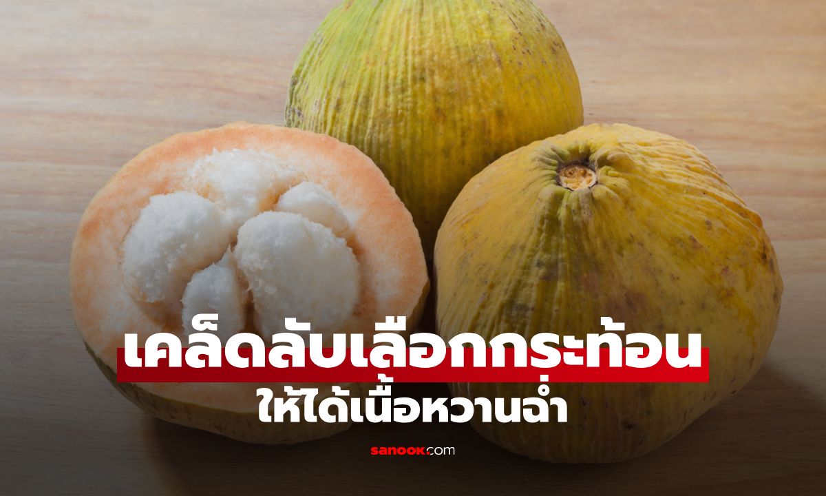 5 เคล็ดลับเลือกกระท้อนให้ได้เนื้อหวานฉ่ำ ทานอร่อย