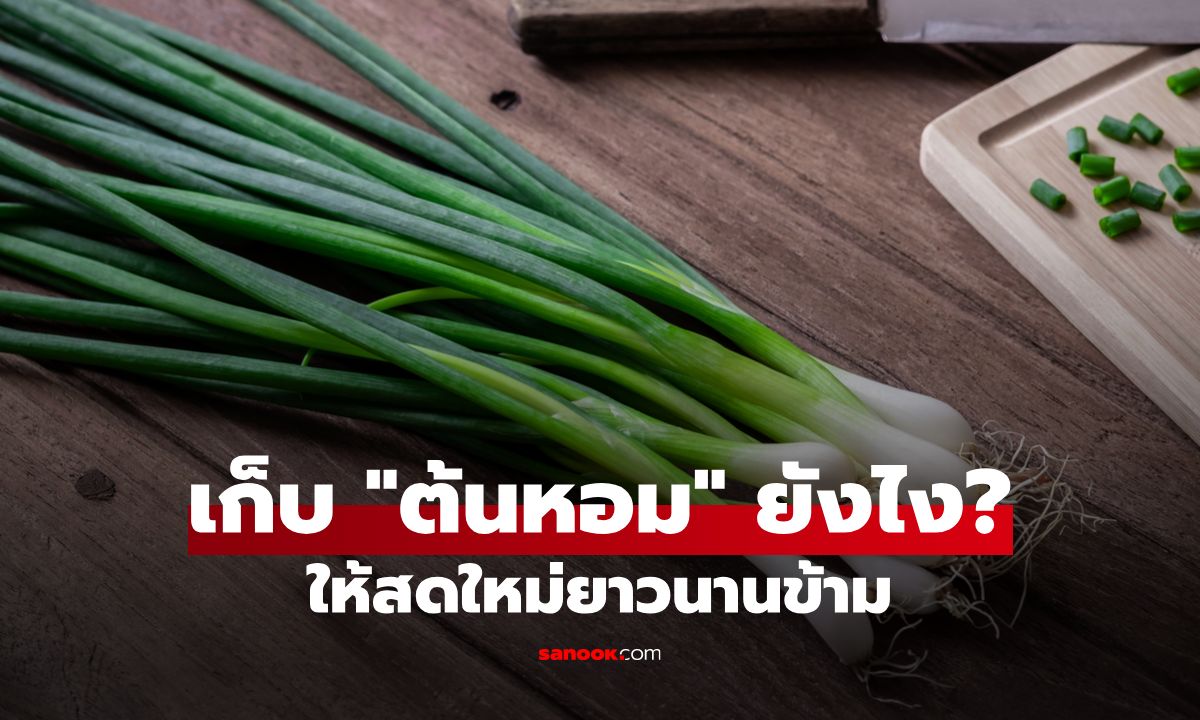วิธีเก็บ “ต้นหอม” ให้สดนานข้ามปี บอกลาต้นหอมเน่าคาตู้เย็น