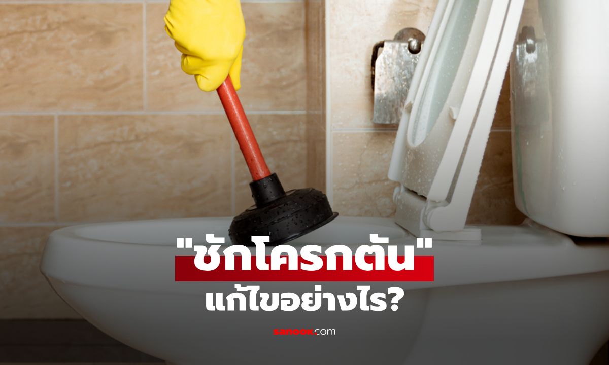 เคล็ดลับแก้ "ชักโครกตัน" บอกลาปัญหาท่อน้ำทิ้งช้าและน้ำเอ่อล้น