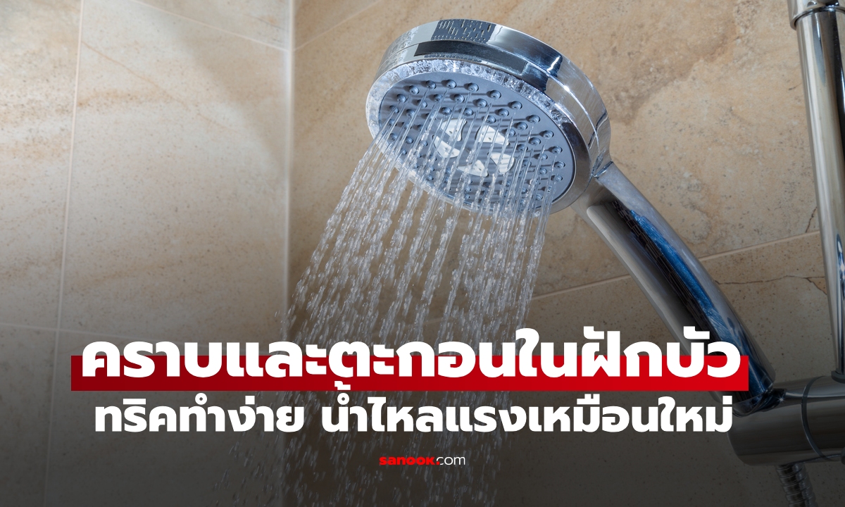 วิธีทำความสะอาดคราบและตะกอนในฝักบัว ง่ายๆ ไม่ต้องออกแรงขัด น้ำไหลแรงเหมือนซื้อใหม่