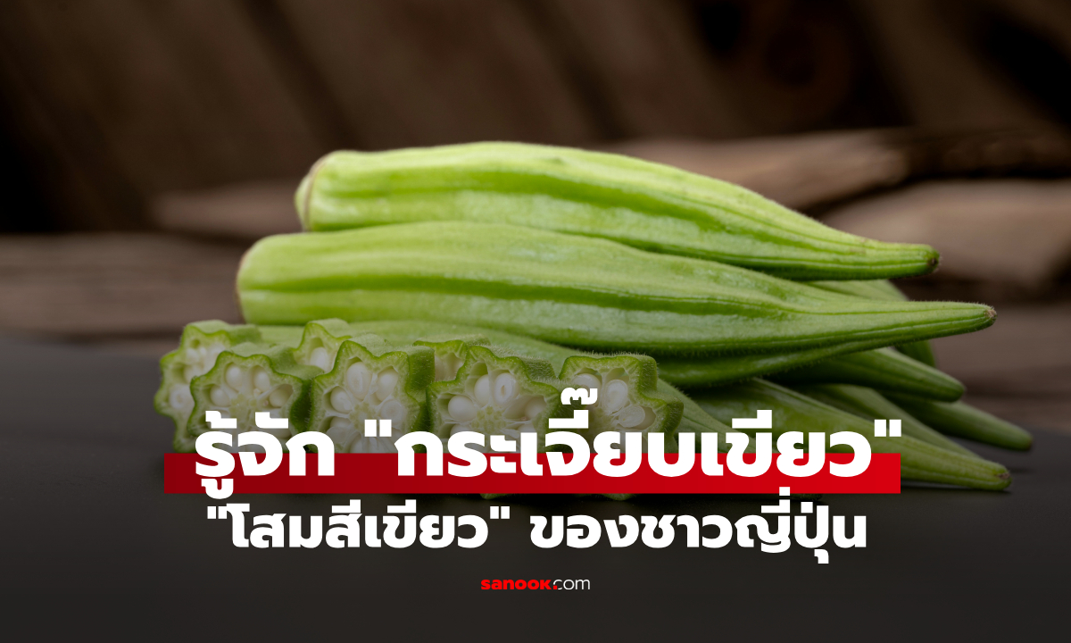 กระเจี๊ยบเขียว ผักที่ได้รับการยกย่องเป็น "โสมสีเขียว" เคล็ดลับอายุยืนของชาวญี่ปุ่น