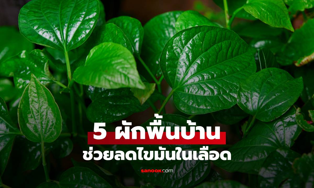 5 ผักพื้นบ้าน ลดไขมันในเลือด ของดีใกล้ตัว หาง่าย ราคาถูก ได้ผลจริง!
