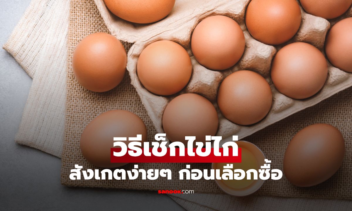 วิธีเช็กไข่ไก่สดหรือเก่า? สังเกตง่ายๆ ก่อนเลือกซื้อ