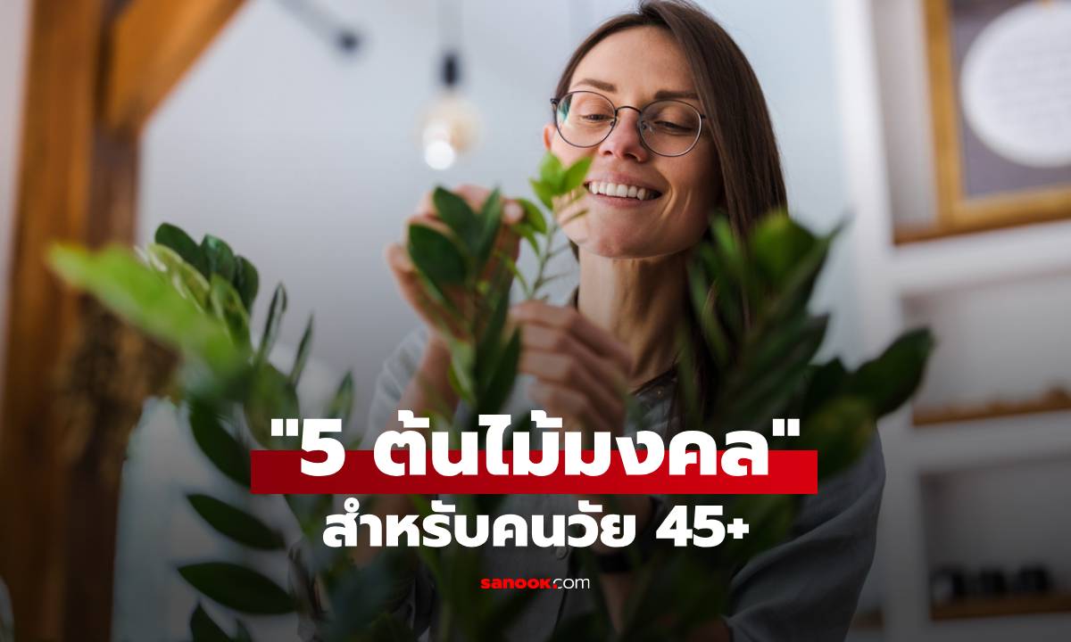 5 ต้นไม้มงคลสำหรับคนวัย 45+ ช่วยให้จิตใจสงบและดึงดูดโชคลาภเข้าบ้าน