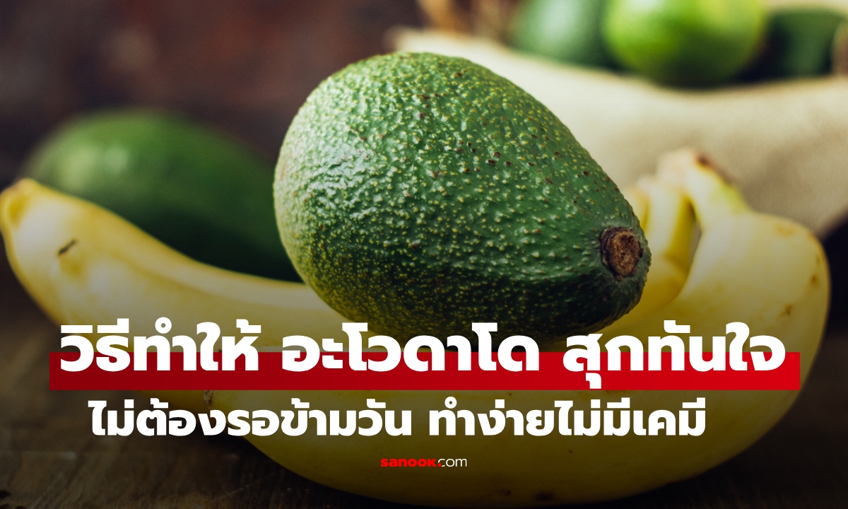 วิธีทำให้ "อะโวคาโด" สุกเร็ว กินได้ทันใจไม่ต้องรอข้ามวัน ไม่ใช้สารเคมี