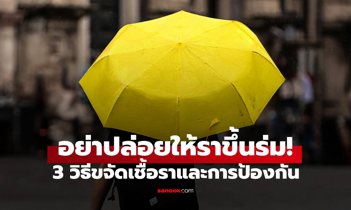 อย่าปล่อยให้ราขึ้นร่ม! เคล็ดลับจากผู้เชี่ยวชาญ กับ 3 วิธีขจัดเชื้อราและการป้องกัน
