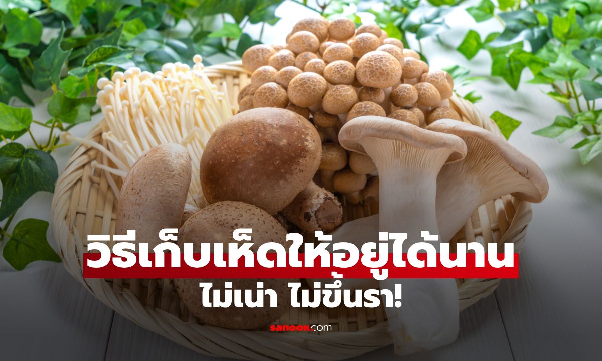 วิธีเก็บเห็ดให้อยู่ได้นาน โดยไม่เน่าและขึ้นรา