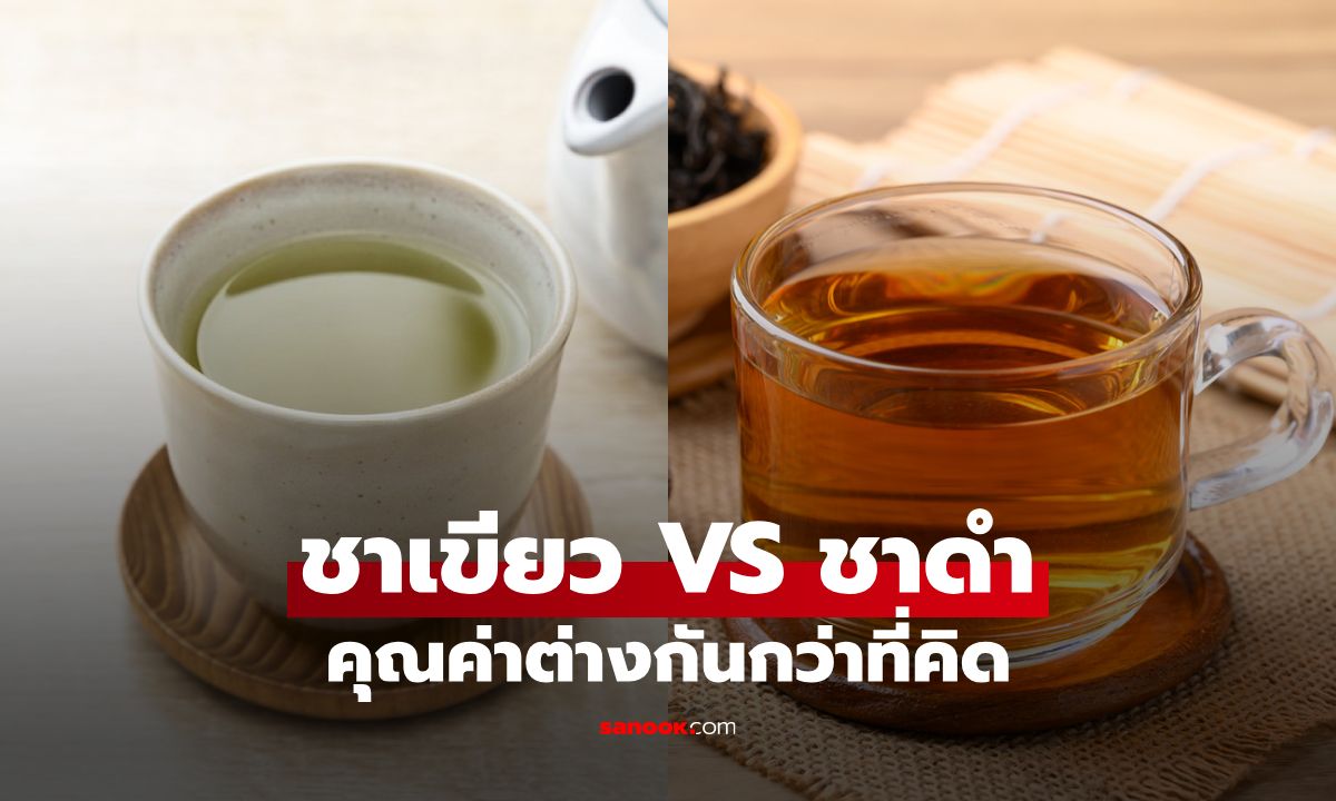 ชาเขียว VS ชาดำ คุณค่าต่างกว่าที่คิด เลือกแบบไหนเหมาะกับร่างกาย?