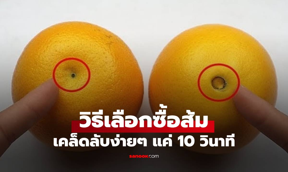 เมื่อซื้อส้ม ใช้เวลาแค่ 10 วินาที เคล็ดลับง่ายๆ รู้ทันทีส้มลูกไหนหวานฉ่ำหรือจืดชืด