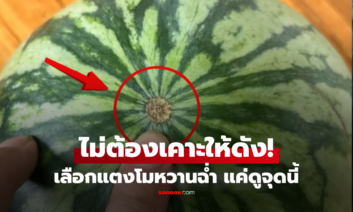 คนรู้จริงแค่ดู 3 จุดเด็ด ก็เลือก "แตงโม" หวานฉ่ำ-น้ำแน่น-สุกกำลังดี ไม่ต้องเคาะให้เสียงดัง!