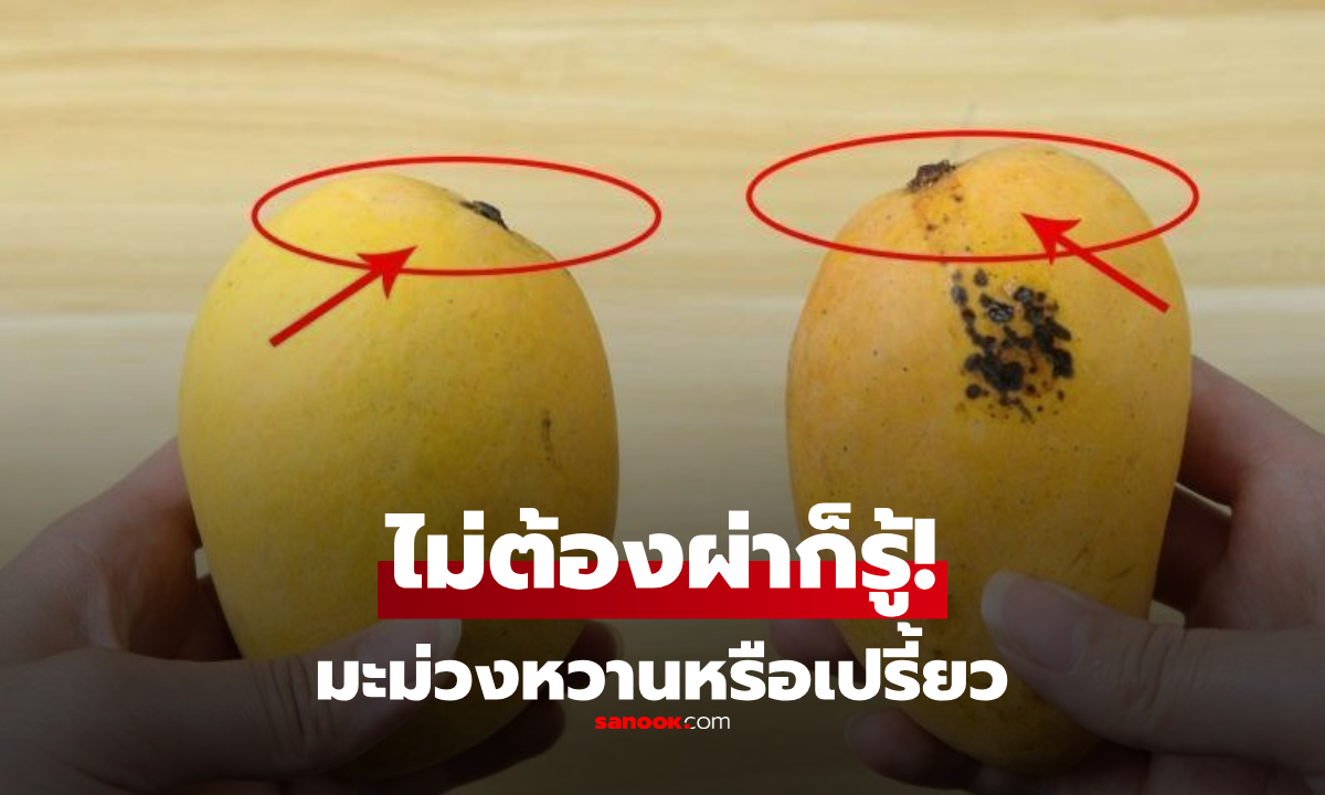 มือใหม่ก็รอด! 4 เคล็ดลับ “เลือกมะม่วง” หวานฉ่ำ ไม่เปรี้ยว-ไม่แข็ง ไม่ต้องผ่าก็รู้