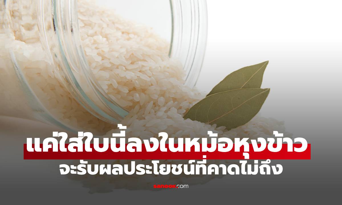 แค่ใส่ใบนี้ลงไปตอนหุงข้าว ข้าวจะหอมนุ่มฟูขึ้นทันตา แถมดีต่อสุขภาพ!