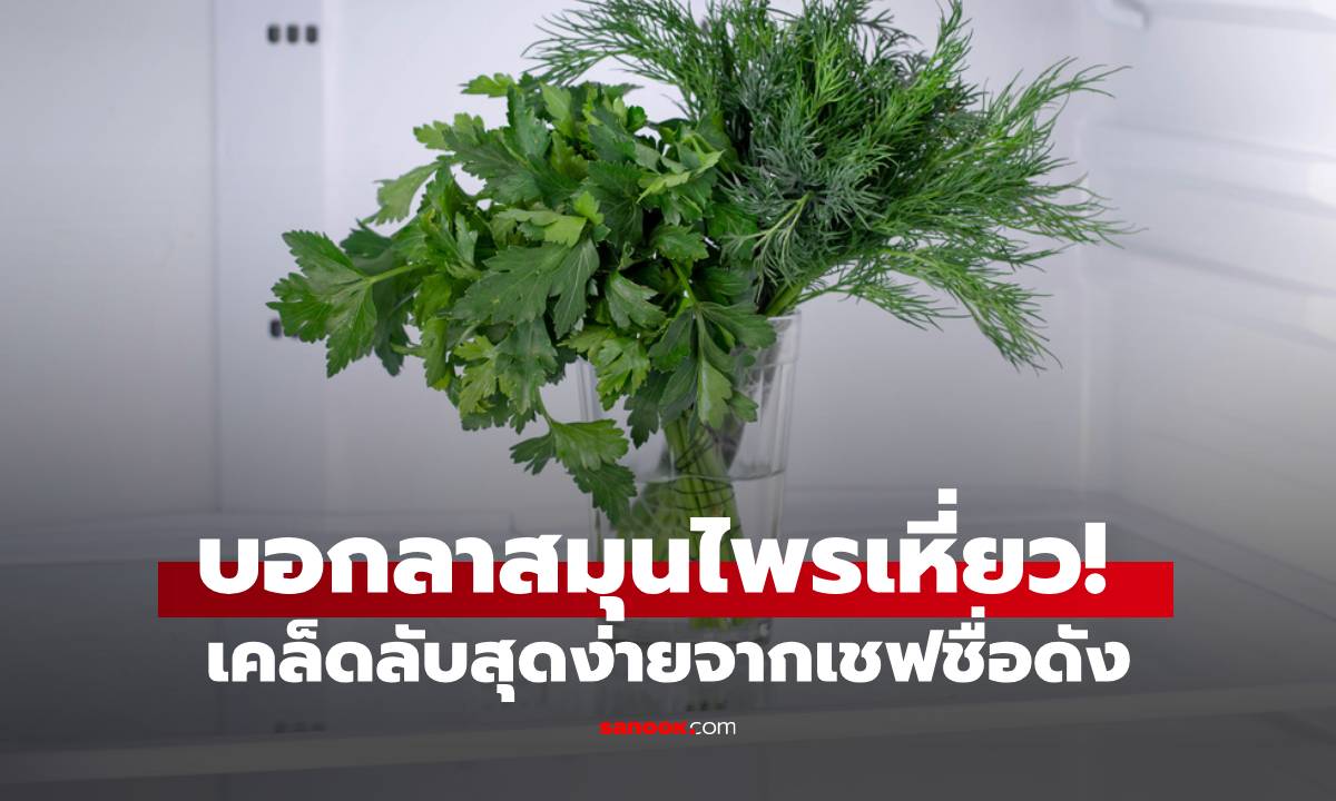 บอกลาสมุนไพรเหี่ยว! เคล็ดลับสุดง่ายทำให้สดตลอดทั้งสัปดาห์ด้วยสิ่งเดียว!