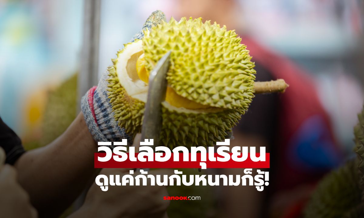 วิธีเลือกทุเรียนกรอบนอก–นุ่มใน ดูแค่ก้านกับหนามก็รู้!