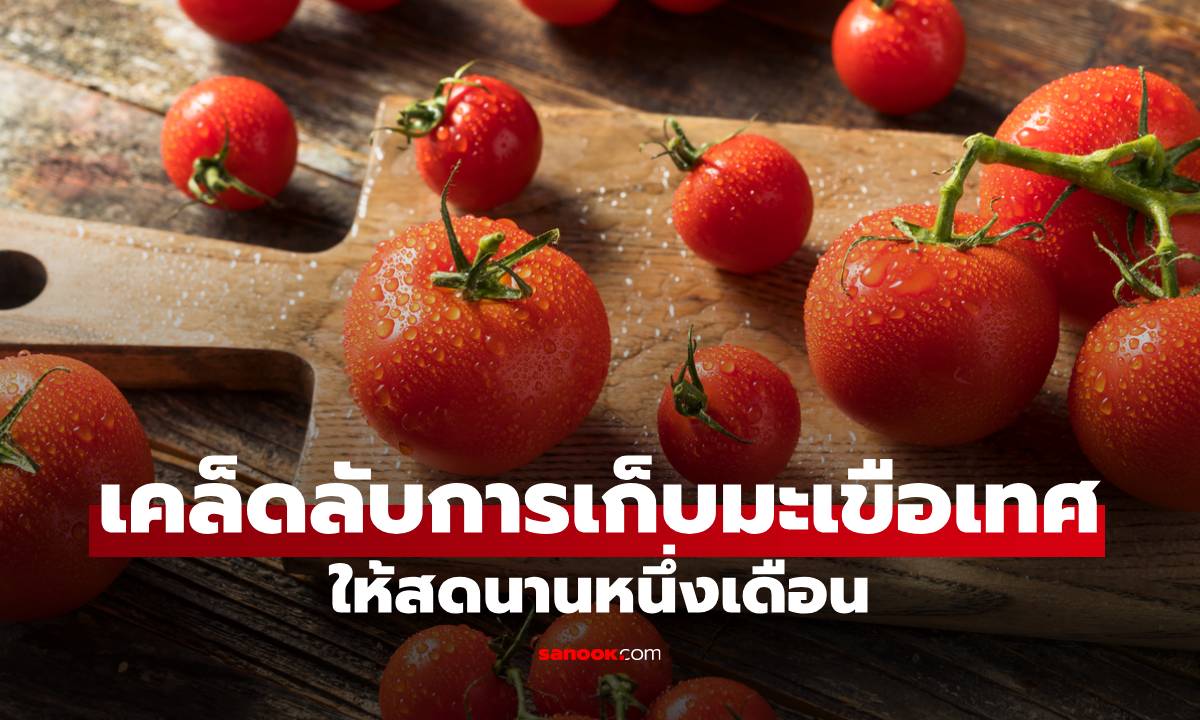 เปิดสูตรลับ! เก็บมะเขือเทศให้สดเด้งนาน 1 เดือน แบบไม่ต้องแช่แข็ง