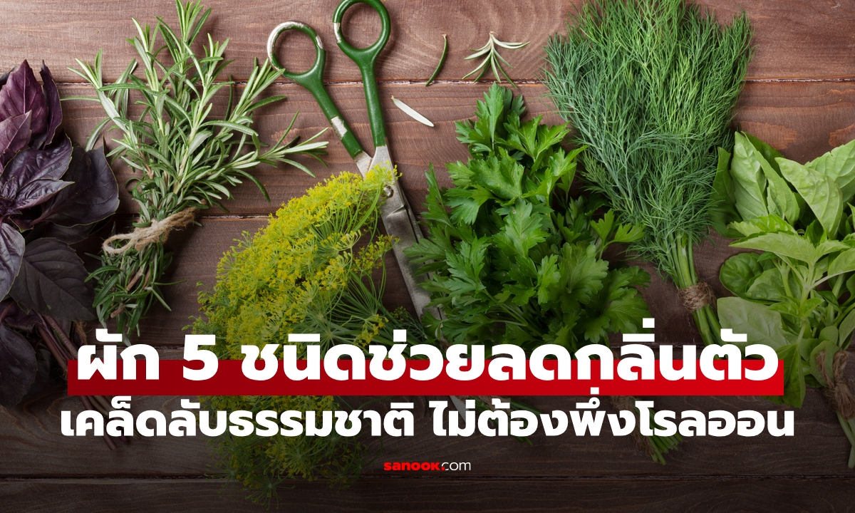 "ผัก 5 ชนิดช่วยลดกลิ่นตัว" เคล็ดลับธรรมชาติที่หลายคนไม่รู้ ไม่ต้องพึ่งโรลออน บอดี้สเปรย์