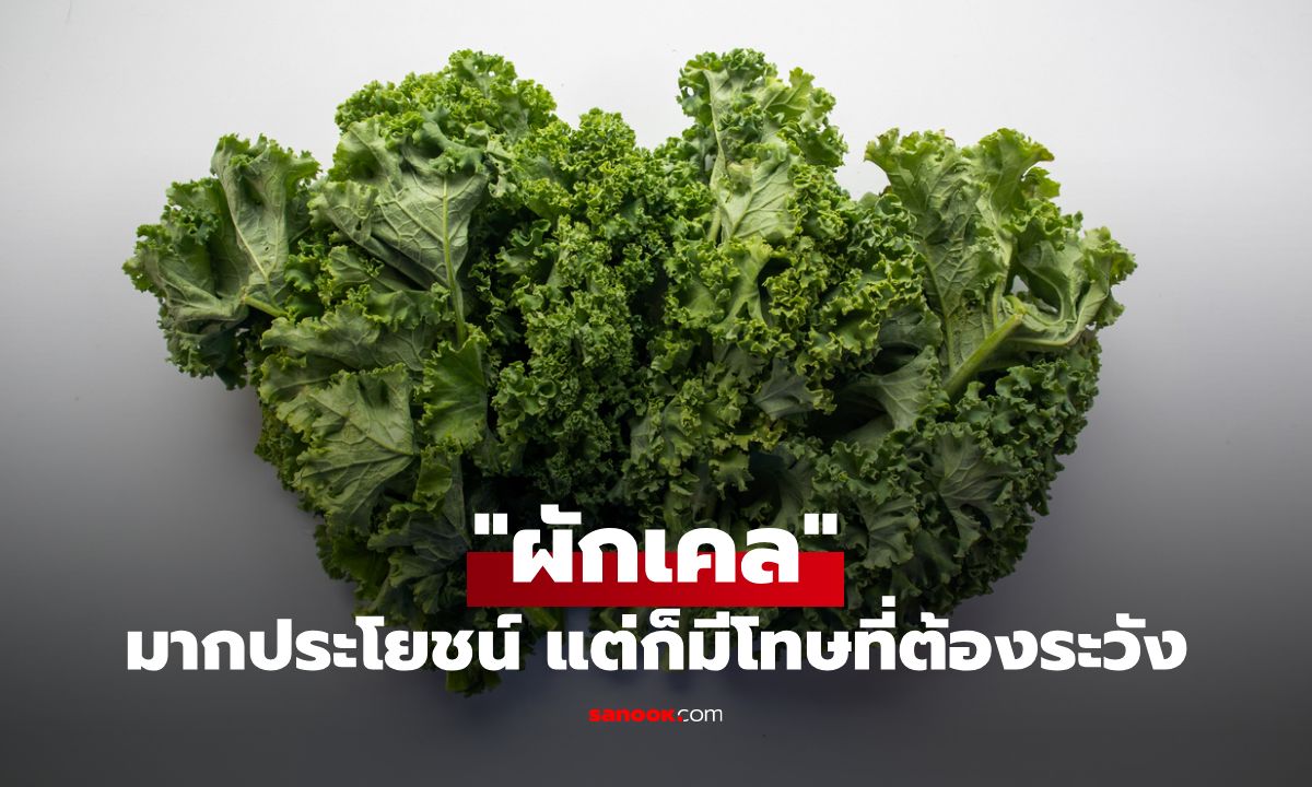 "ผักเคล" ซูเปอร์ฟู้ดมากประโยชน์ แต่ก็มีโทษที่ต้องระวัง