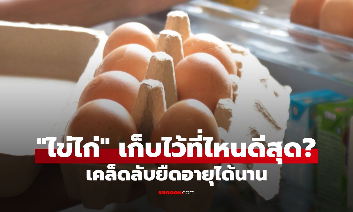 ไม่ใช่ประตูตู้เย็น! เก็บไข่ไก่ตรงไหนดีสุด? ยืดอายุไข่ได้นานและปลอดภัยต่อสุขภาพ