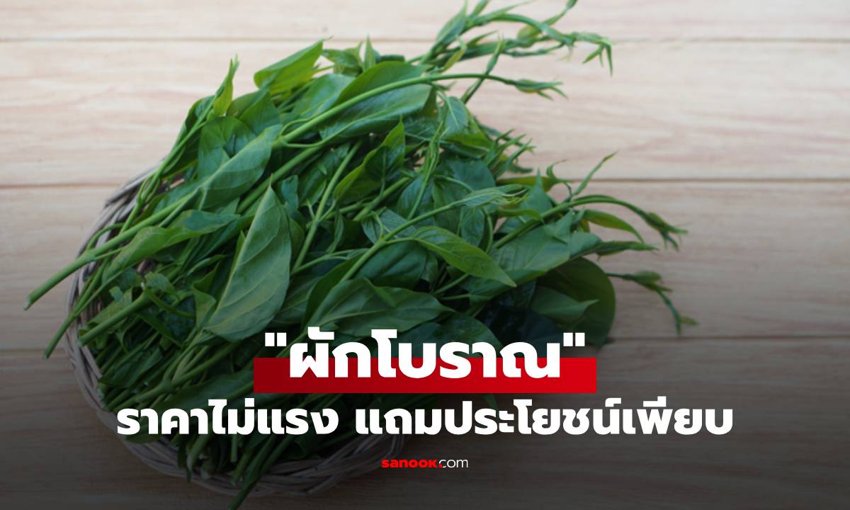 เปิดตำนาน 8 ชนิด "ผักโบราณ" ราคาไม่แรง แถมประโยชน์เพียบ