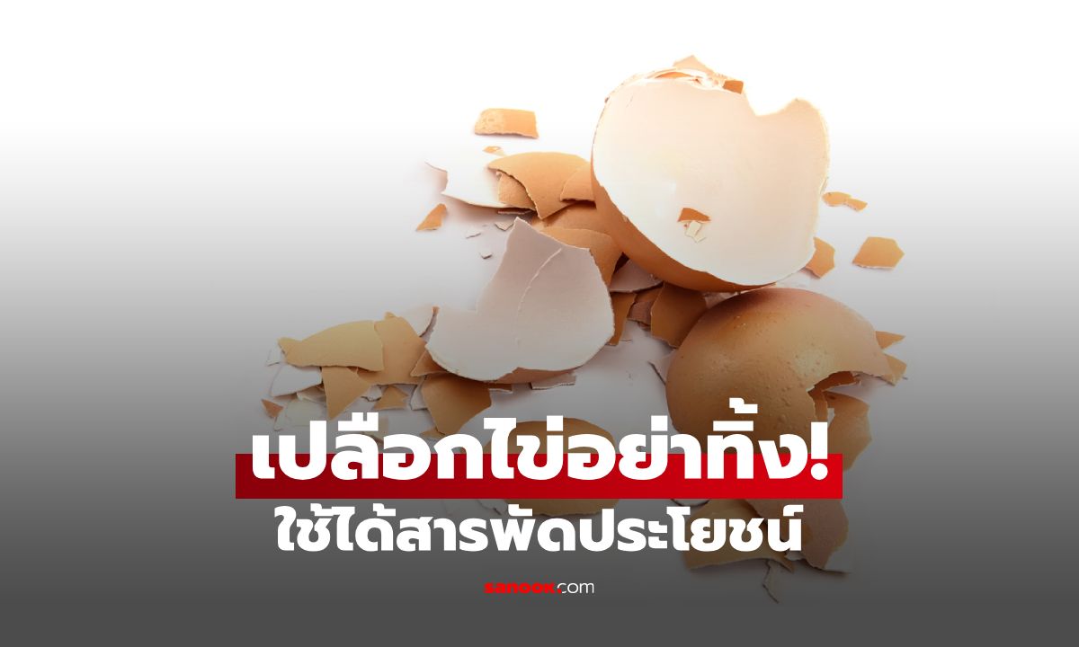เปลือกไข่ ใช้ทำอะไรได้บ้าง? สารพัดประโยชน์ที่คุณไม่เคยรู้