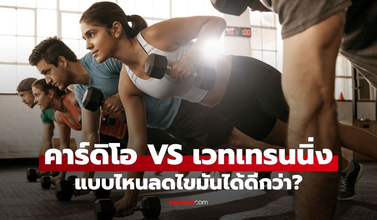คาร์ดิโอ VS เวทเทรนนิ่งอะไรดีกว่ากัน? เลือกแบบไหนลดไขมันได้ดีกว่า