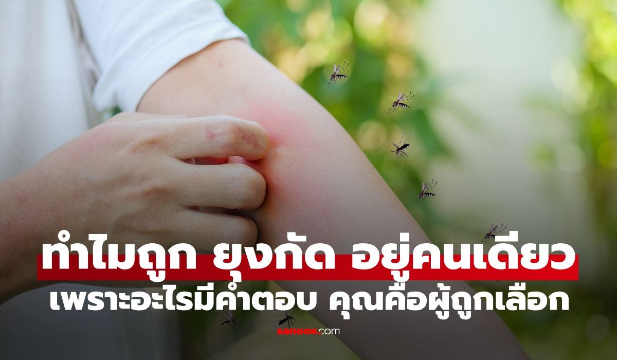 ท่ามกลางผู้คน แต่ถูก "ยุงกัด" คนเดียว มีคำตอบ! ทำไมคุณคือผู้ถูกเลือก