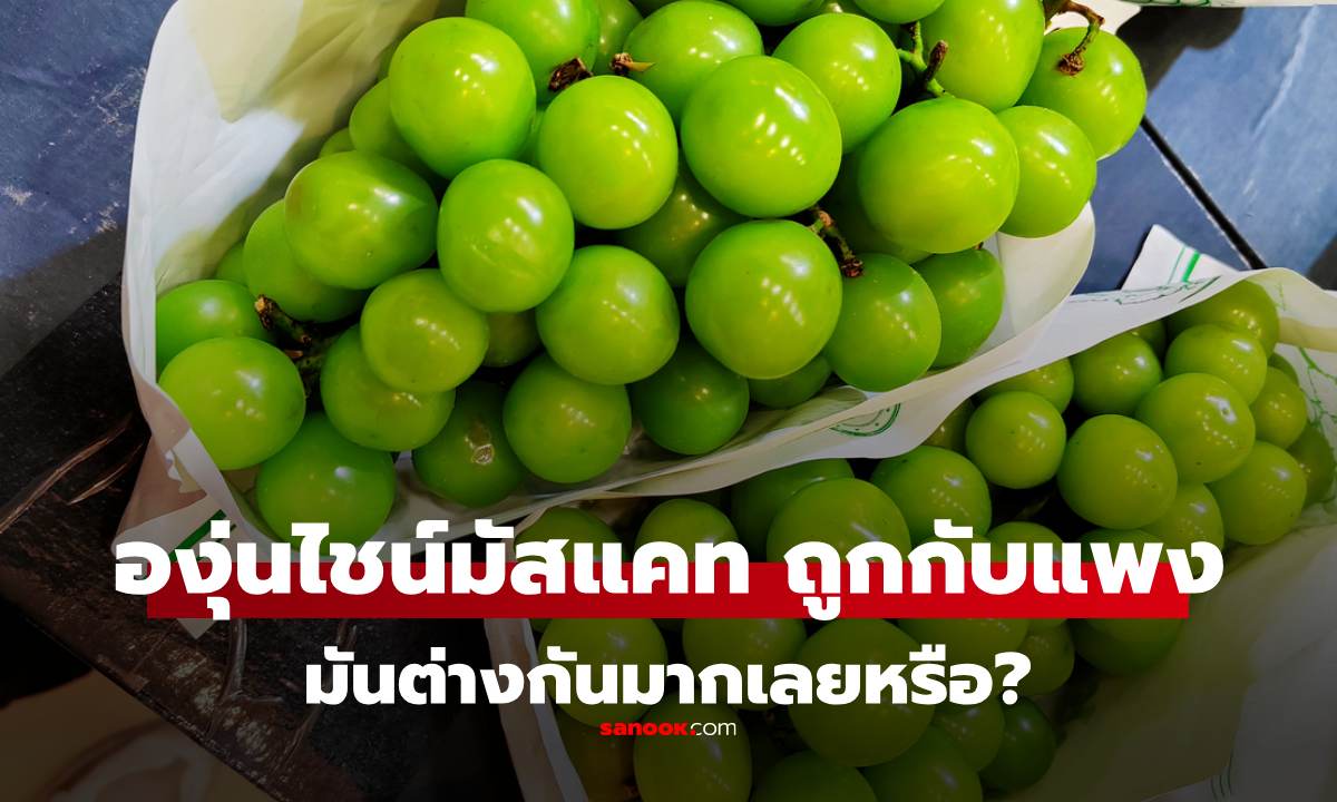 องุ่นไชน์มัสแคท ถูก-แพง ต่างกันอย่างไร? ของขึ้นห้างกับที่ขายในตลาด ราคาต่างกันหลายเท่า