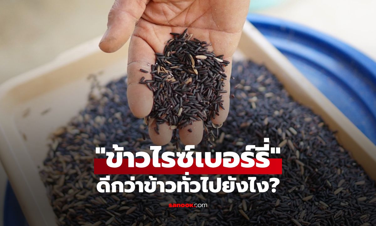 ข้าวไรซ์เบอร์รี่ ดียังไง? เผยประโยชน์เด่นที่เหนือกว่าข้าวสวยทั่วไป