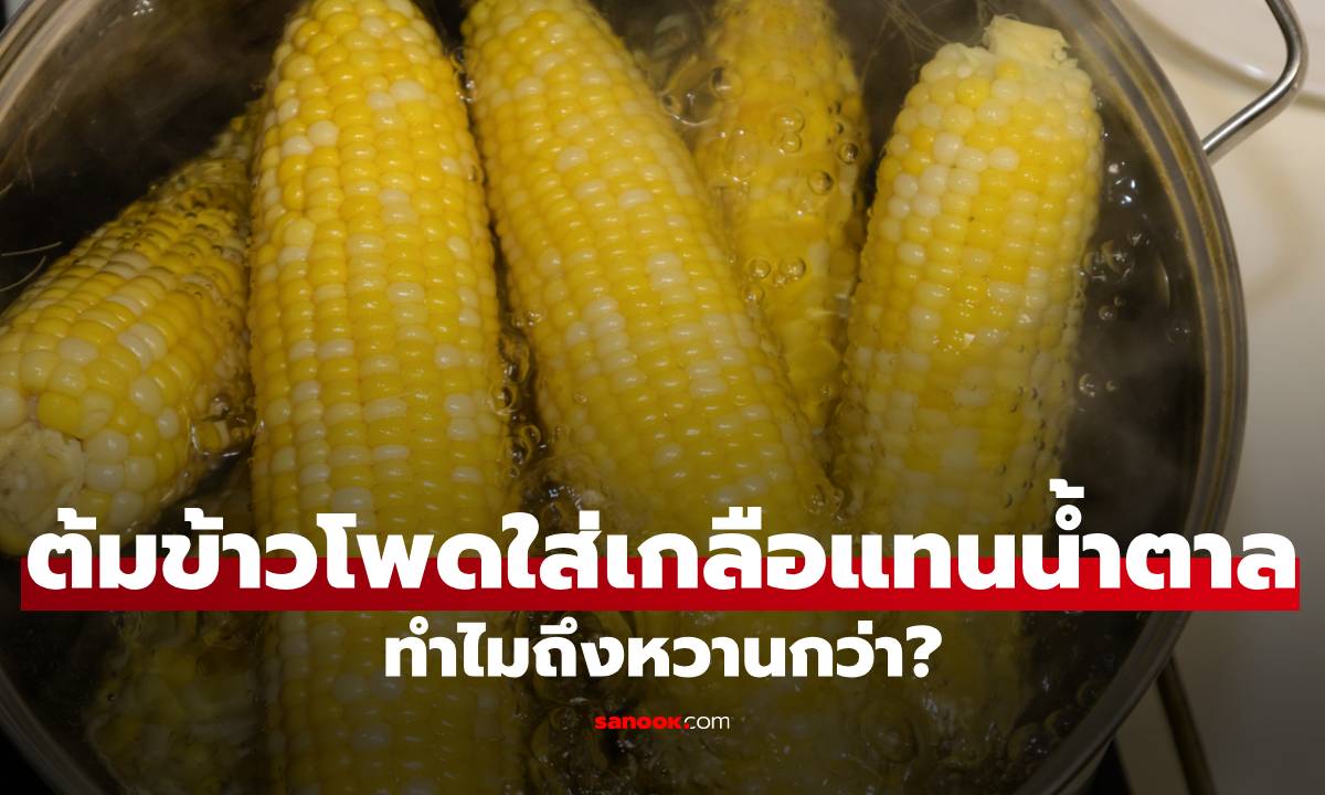 ต้มข้าวโพดใส่เกลือแทนน้ำตาล ทำไมถึงหวานกว่า? เฉลยเคล็ดลับที่หลายคนไม่เคยรู้