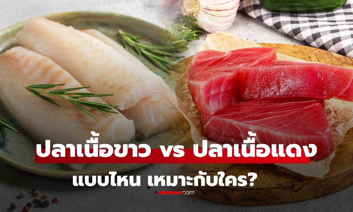 ปลาเนื้อขาว vs ปลาเนื้อแดง แบบไหนเหมาะกับใคร ประโยชน์ไม่เหมือนกัน
