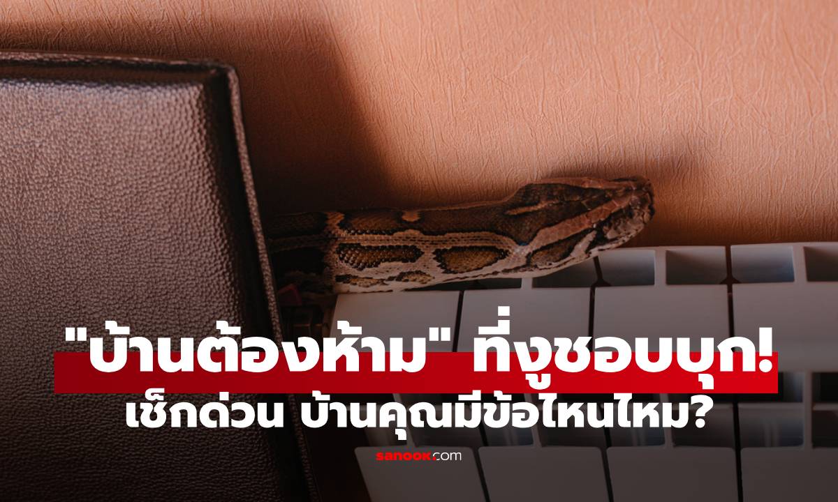เปิด 5 ลักษณะ "บ้านต้องห้าม" ที่งูชอบบุก! เช็กด่วน บ้านคุณมีข้อไหนไหม?