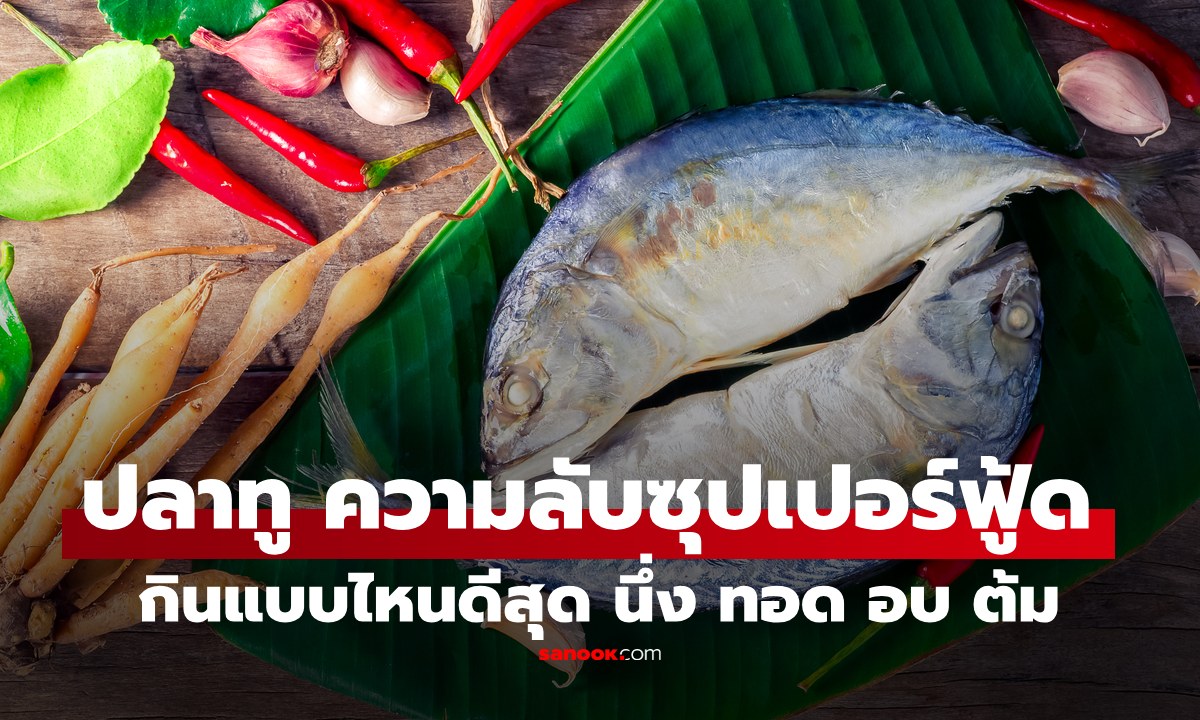 เปิดความลับ "ปลาทู" ถูกยกให้เป็นซุปเปอร์ฟู้ด กินแบบไหนดีสุด นึ่ง ทอด อบ ต้ม