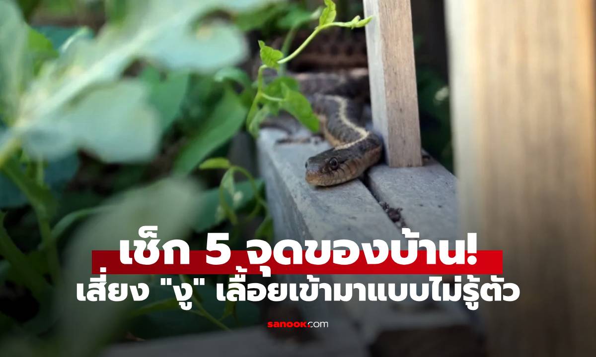 เช็ก 5 จุดของบ้าน! เสี่ยง "งู" เลื้อยเข้ามาแบบไม่รู้ตัว
