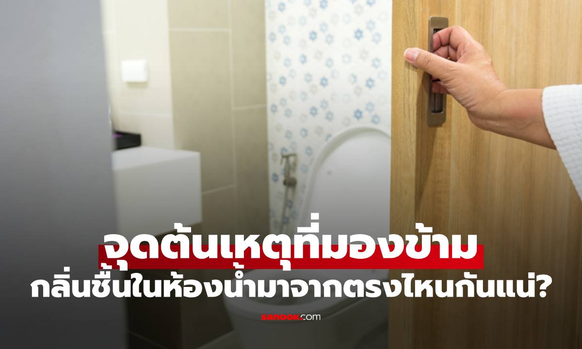 กลิ่นชื้นในห้องน้ำมาจากตรงไหนกันแน่? เฉลยจุดต้นเหตุที่หลายคนมองข้าม