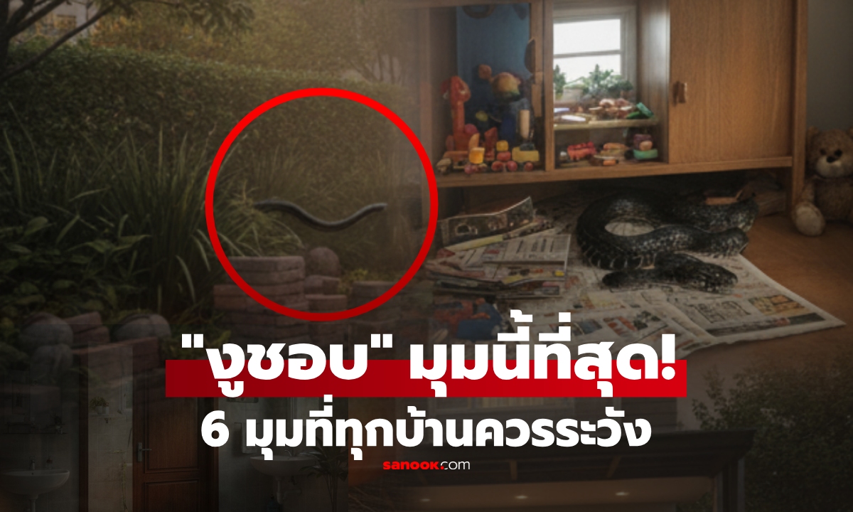 ระวังไว้ 6 มุมบ้าน "งูชอบเข้าไป" มากที่สุด! ทุกครอบครัวควรรู้ให้ทัน ป้องกันก่อนเหตุสลด
