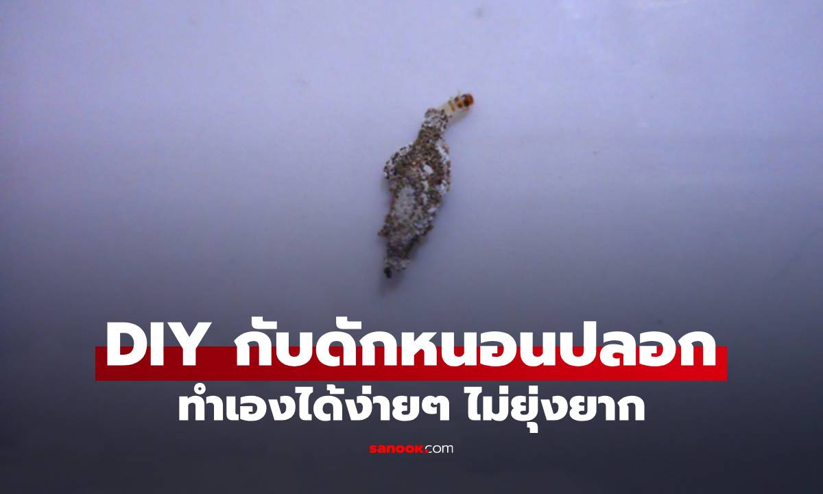 DIY กับดักหนอนปลอก ทำเองได้ง่ายๆ ไม่ยุ่งยาก