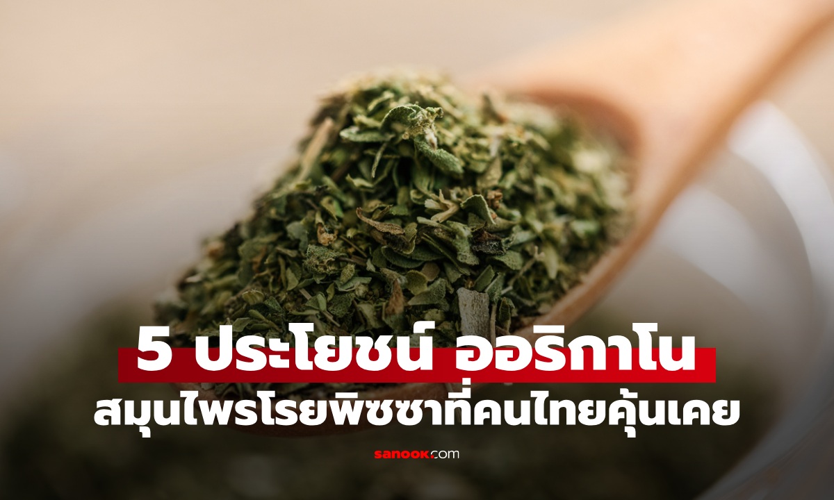 ไม่ได้มีดีแค่โรยหน้า 5 ประโยชน์ "ออริกาโน" สมุนไพรพิซซาที่คนไทยคุ้นเคย