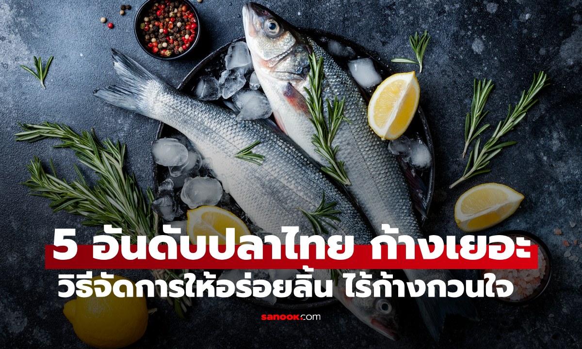 5 อันดับปลาไทย ก้างเยอะ พร้อมวิธีจัดการให้อร่อยลิ้น ไร้ก้างกวนใจ