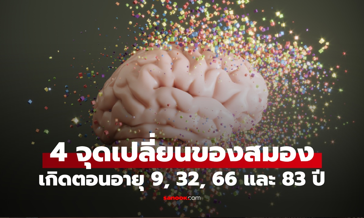 วิจัยสมองมนุษย์ พบ 4 จุดเปลี่ยนสำคัญ ตอนอายุ 9, 32, 66 และ 83 ปี